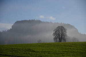 Job www.natuerlich-wolf.de